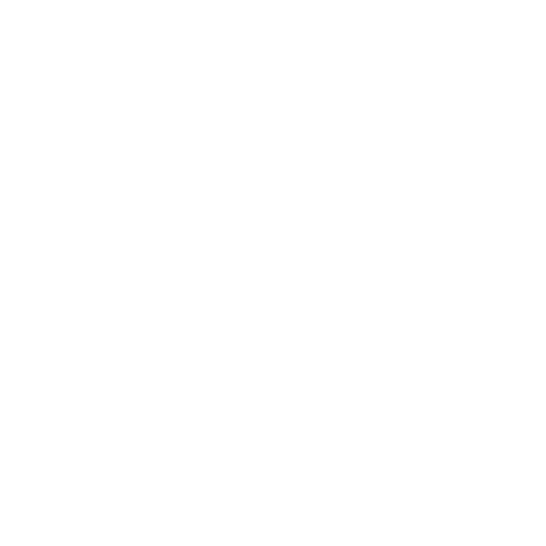 spaygun ads 1080x1080